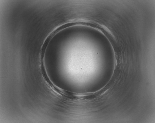 X0000071951364200607071159