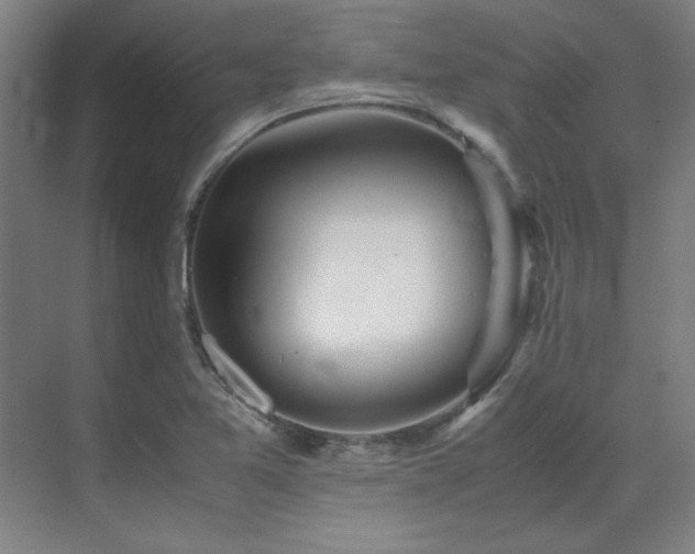 X0000071951365200607071159