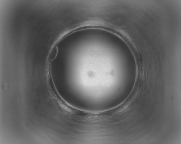 X0000071951366200607071159