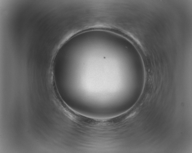 X0000071951367200607071159