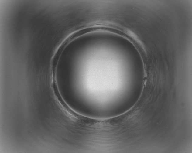 X0000071951368200607071159