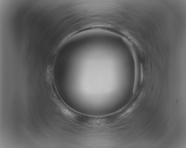 X0000071951369200607071159