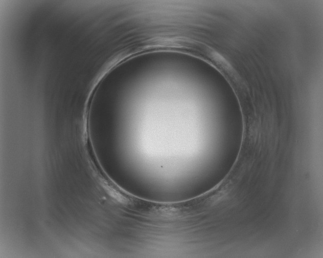 X0000071951370200607071159