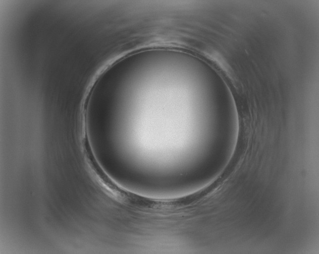 X0000071951371200607071159