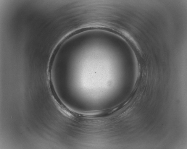 X0000071951372200607071159