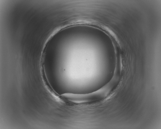 X0000071951373200607071159