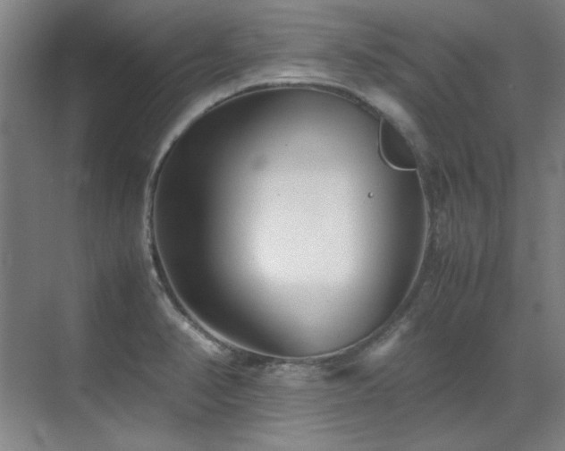 X0000071951374200607071159