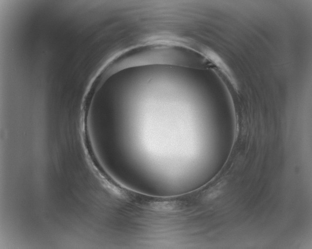 X0000071951376200607071159