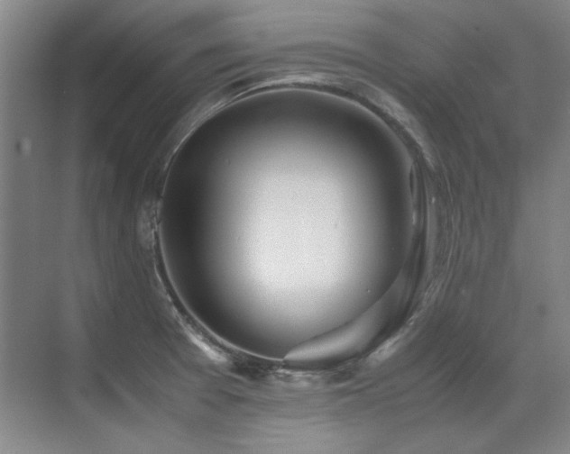 X0000071951377200607071159