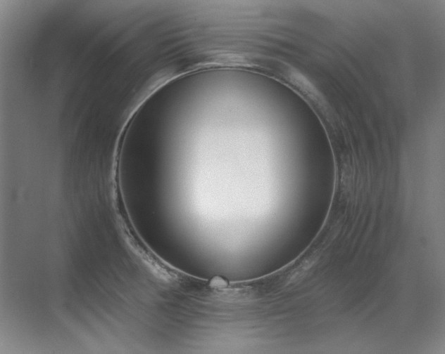 X0000071951378200607071159