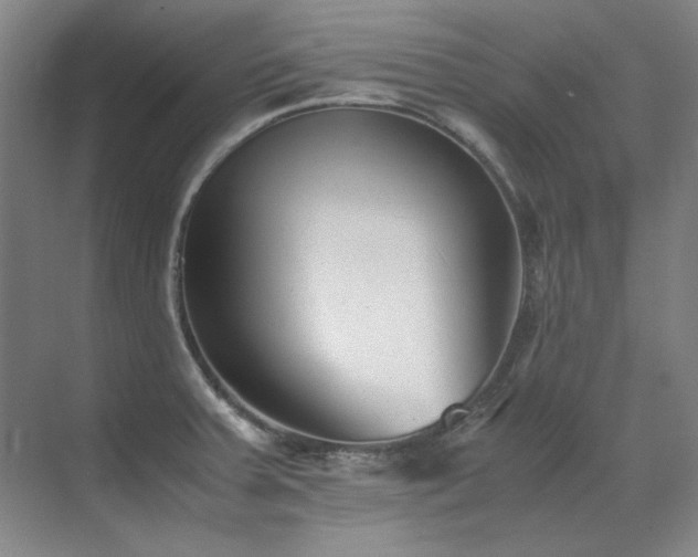 X0000071951379200607071159