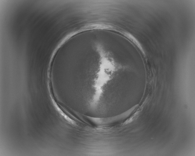 X0000071951381200607071159