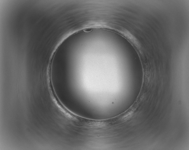 X0000071951382200607071159