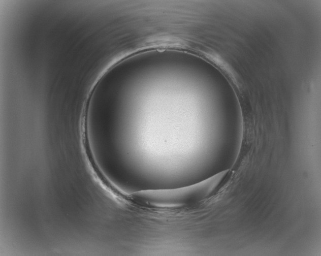 X0000071951383200607071159