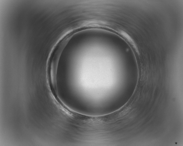 X0000071951384200607071159