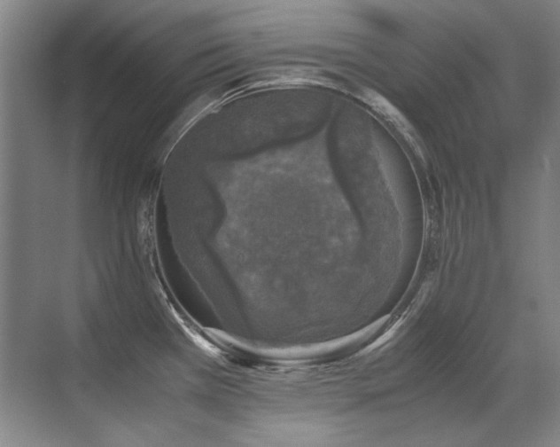 X0000071951385200607071159