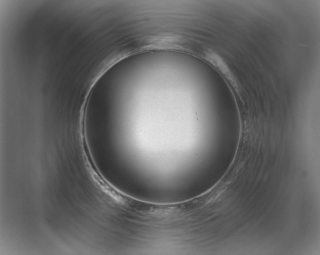 X0000071951386200607071159