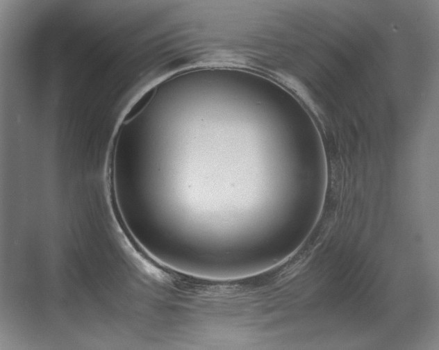 X0000071951387200607071159