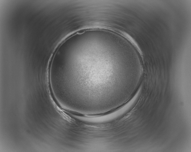 X0000071951388200607071159