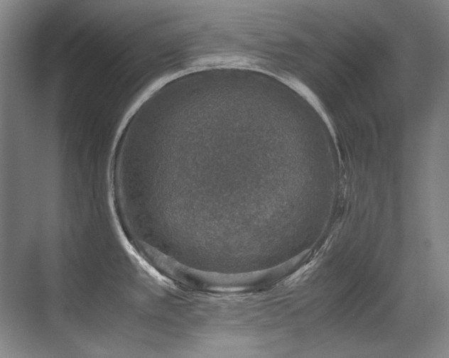 X0000071951389200607071158