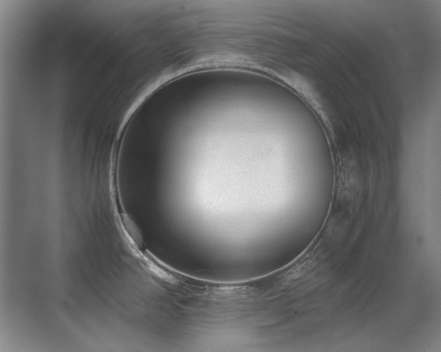 X0000071951390200607071158