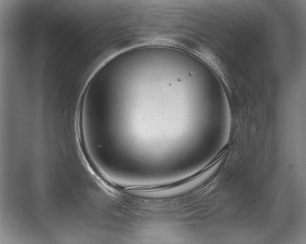 X0000071951391200607071158