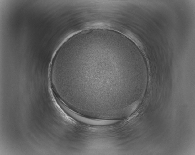 X0000071951392200607071158