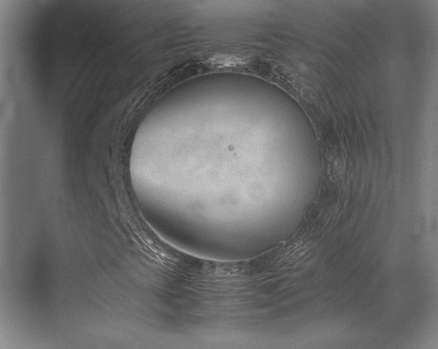 X0000071951393200607071158