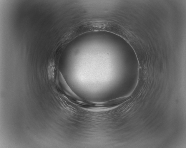 X0000071951394200607071158