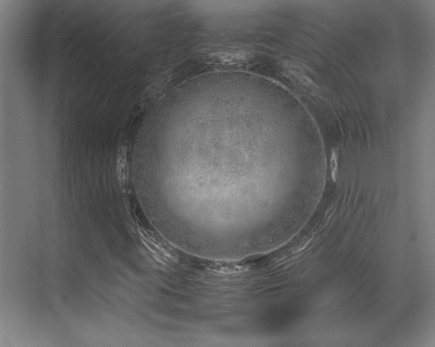 X0000071951395200607071158