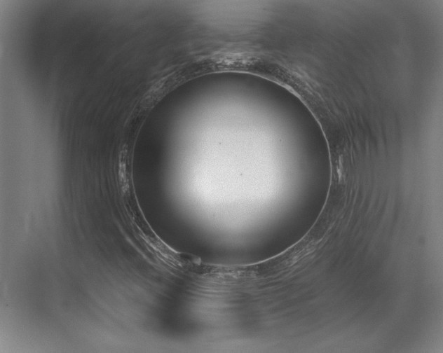 X0000071951396200607071158