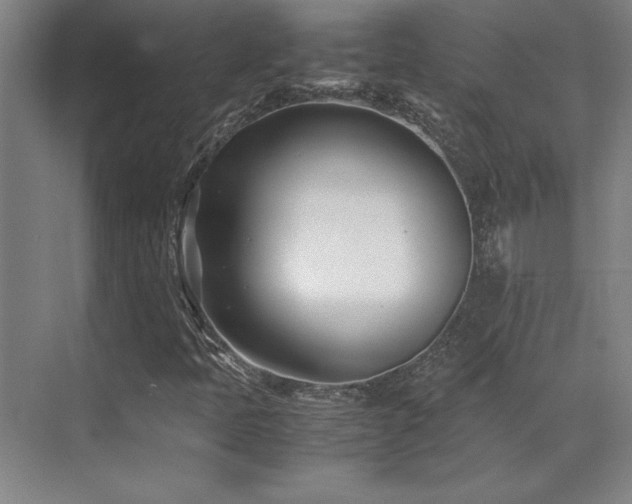 X0000071951397200607071158