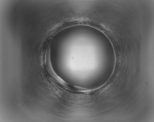 X0000071951398200607071158