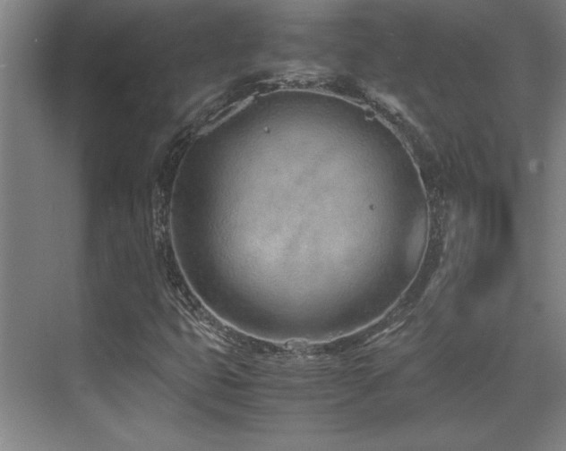 X0000071951399200607071158