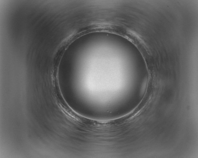 X0000071951403200607071158