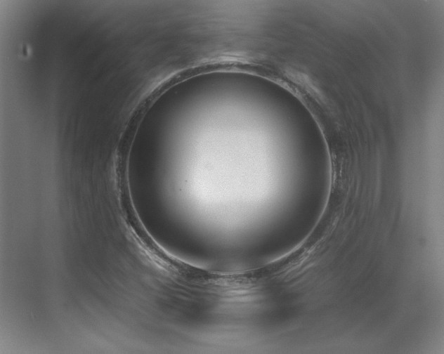 X0000071951404200607071158