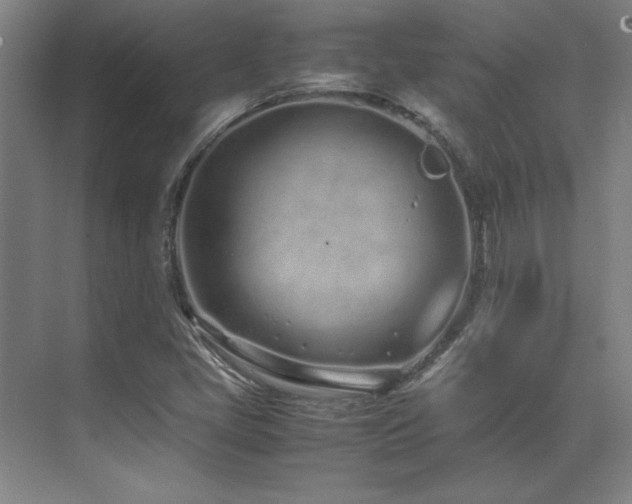 X0000071951405200607071158