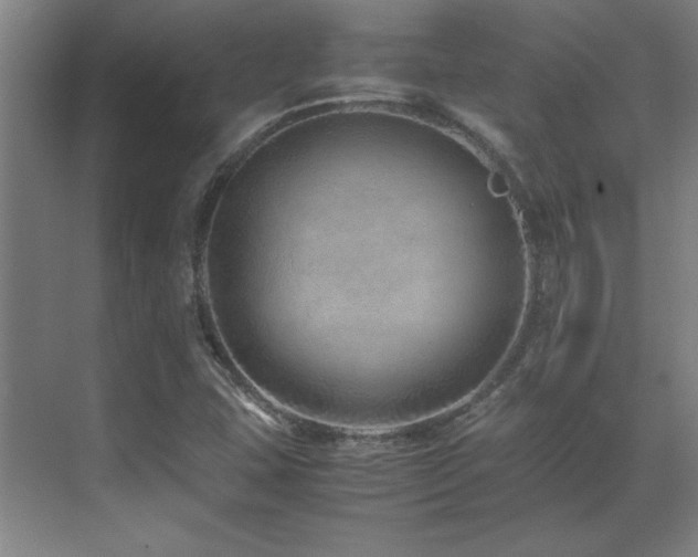 X0000071951407200607071158