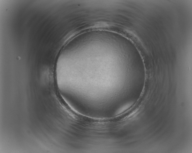 X0000071951409200607071158