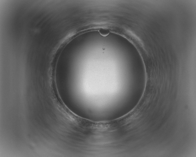 X0000071951411200607071158