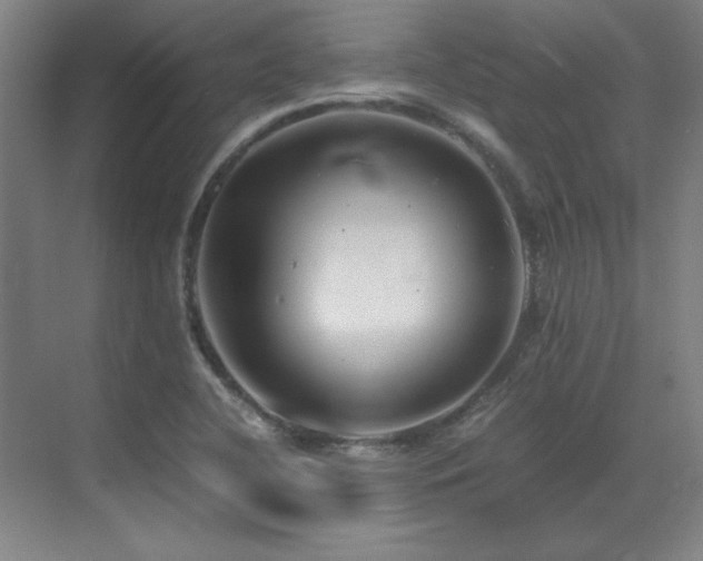 X0000071951412200607071158