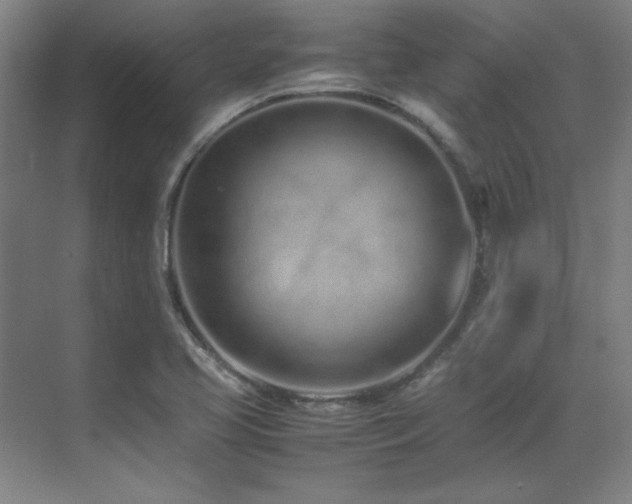 X0000071951413200607071158