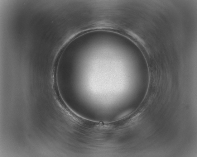 X0000071951415200607071158