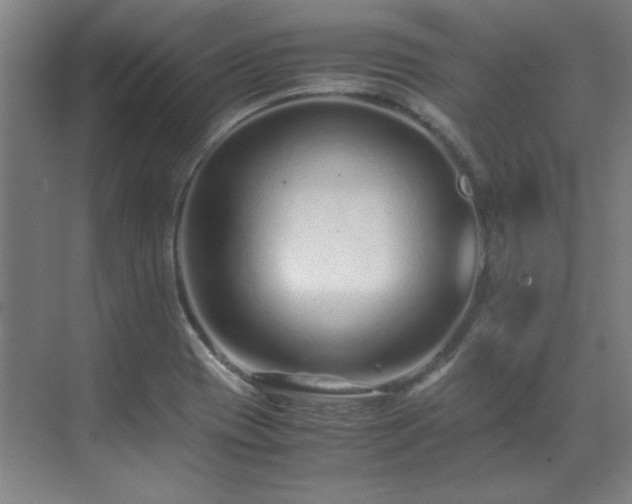 X0000071951417200607071158