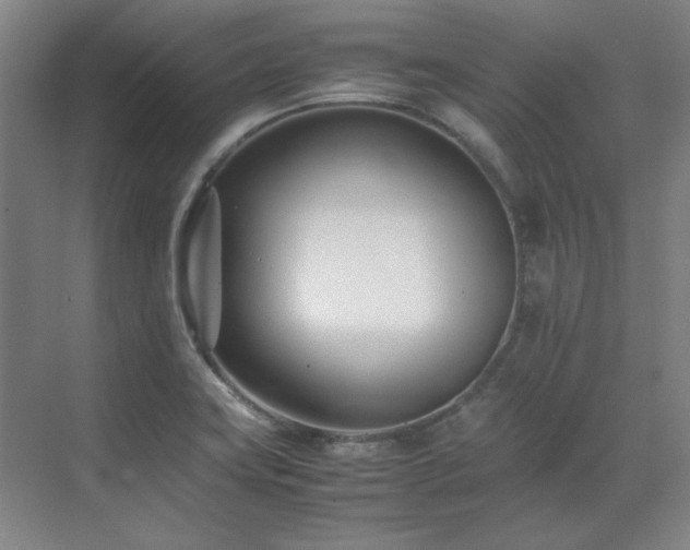 X0000071951419200607071158