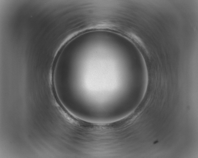 X0000071951420200607071158