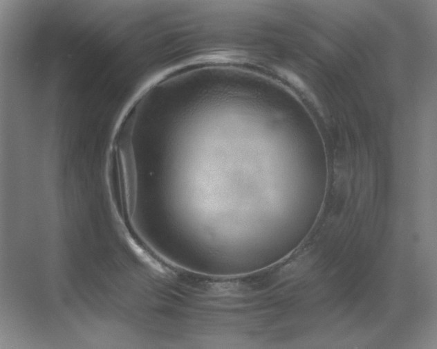 X0000071951421200607071158