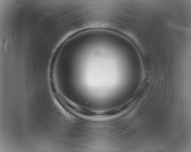 X0000071951422200607071158