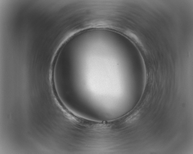 X0000071951424200607071158