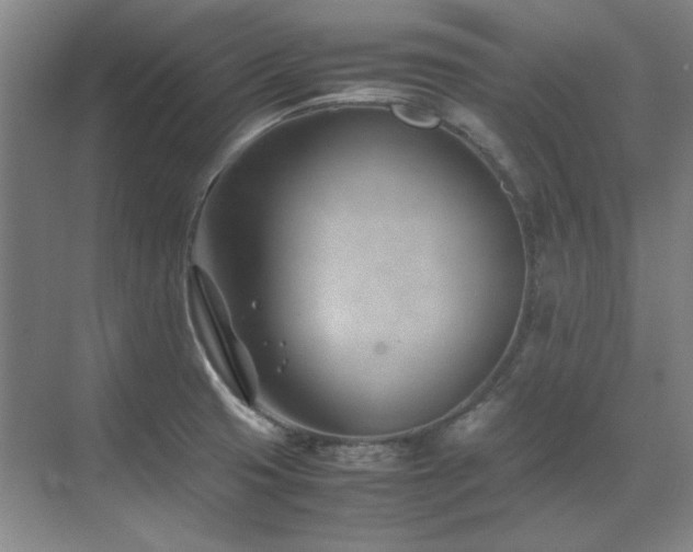 X0000071951425200607071158